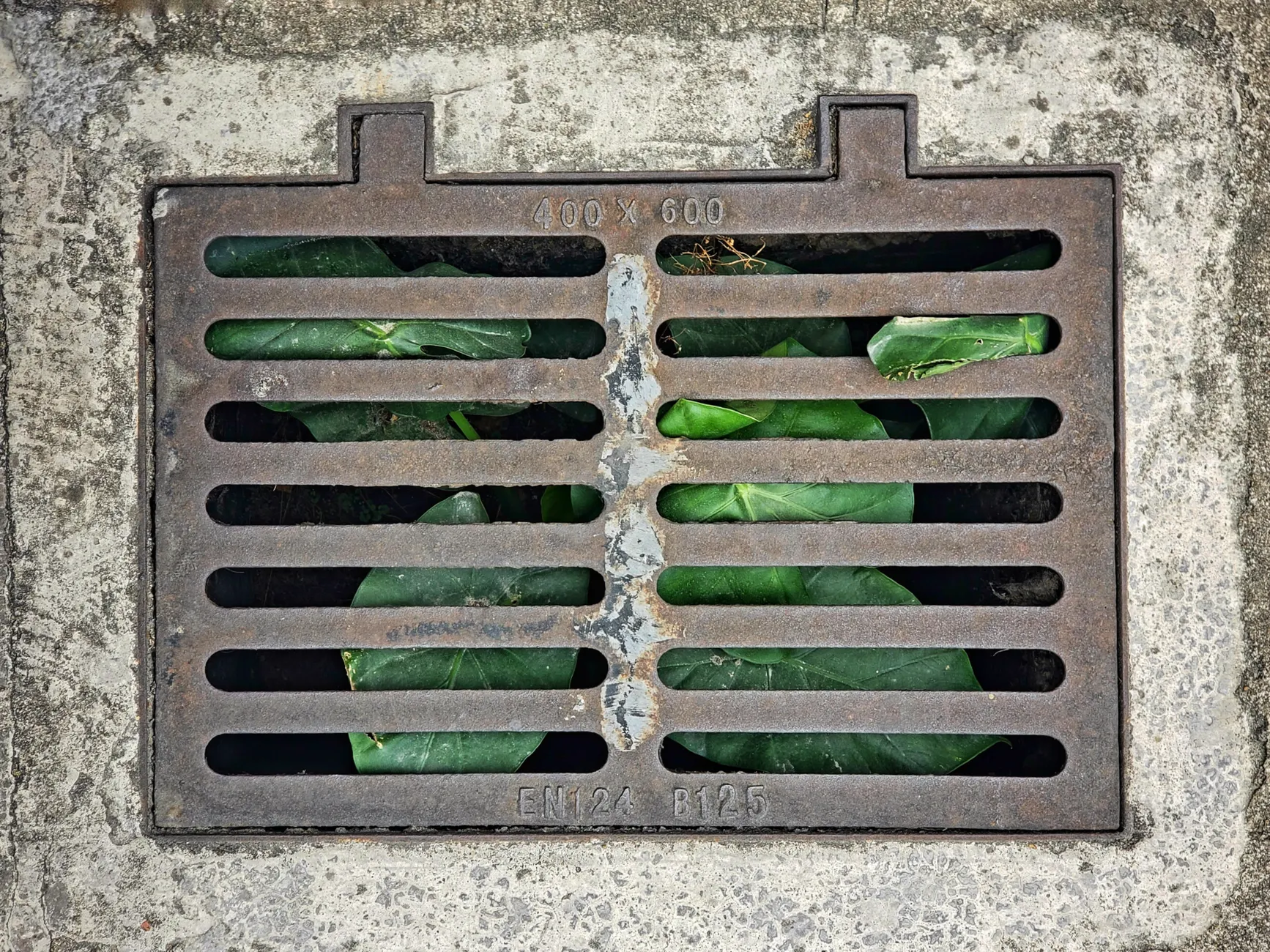 Drainage Near the Grand Union Canal Terminus