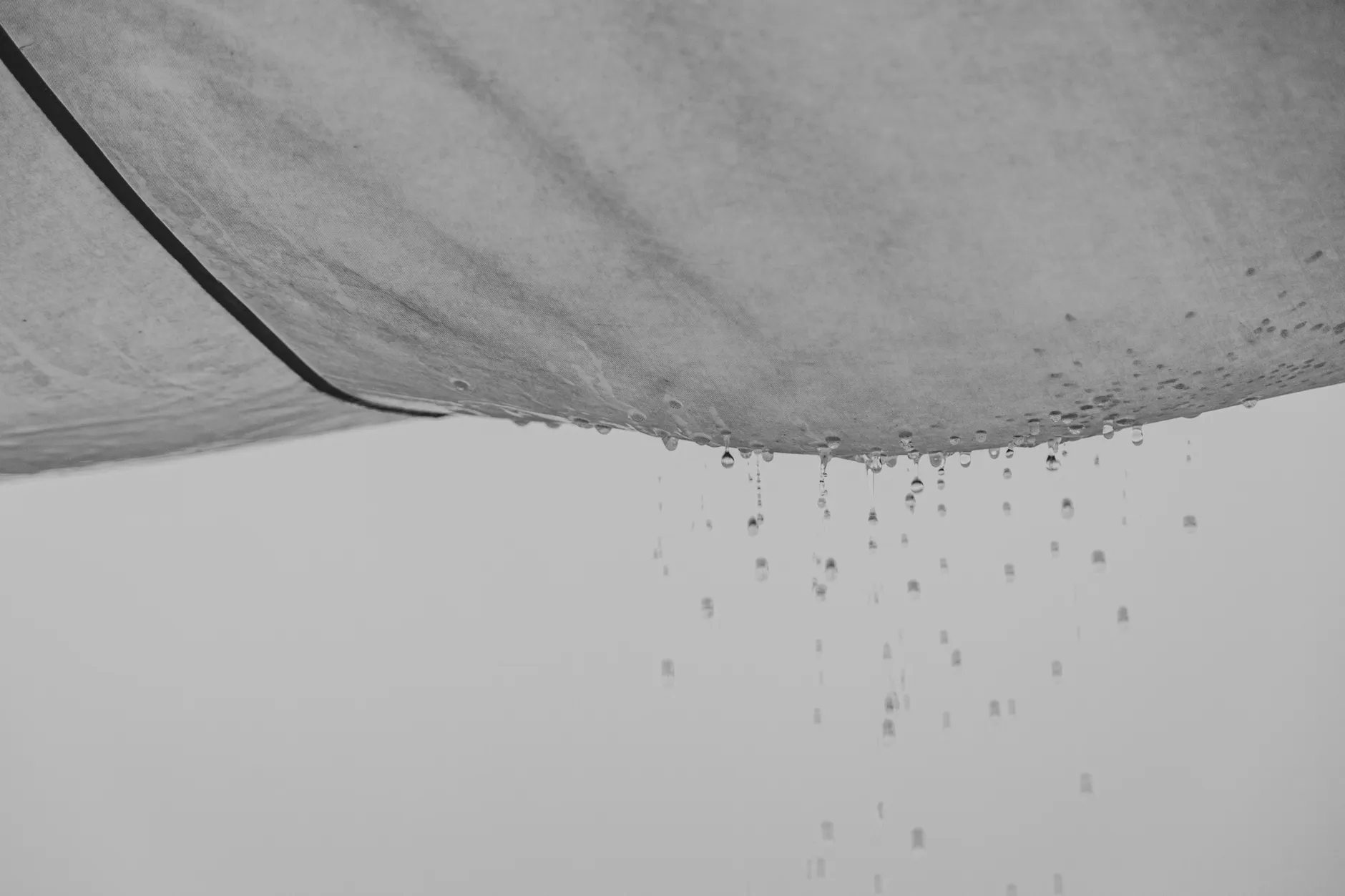 Sewage or Drains Are Backing Up